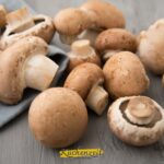 braune Champignons